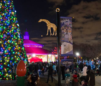 Festival de luces Holiday Magic en el zoológico de Brookfield