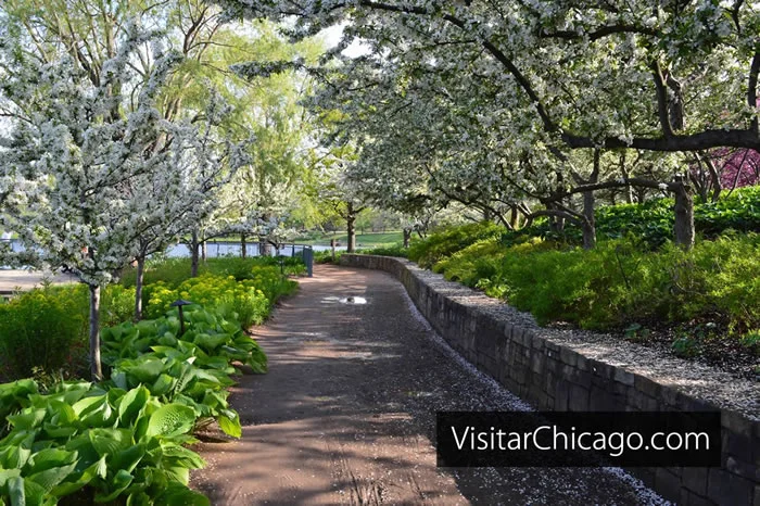 Primavera en el Jardín Botánico de Chicago